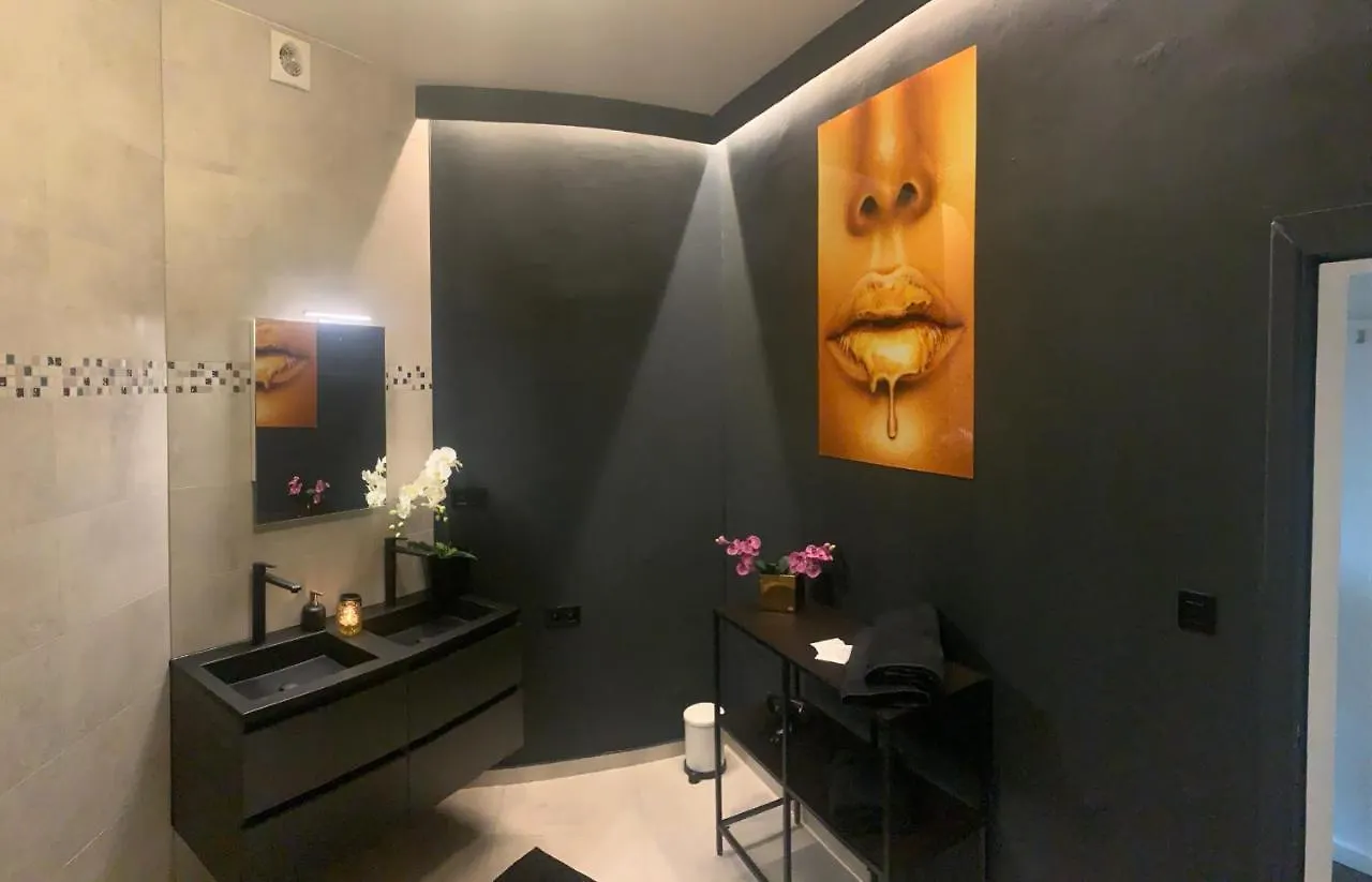 Apartment Sleep Inn - Black And Gold Loft Antwerp Cityview